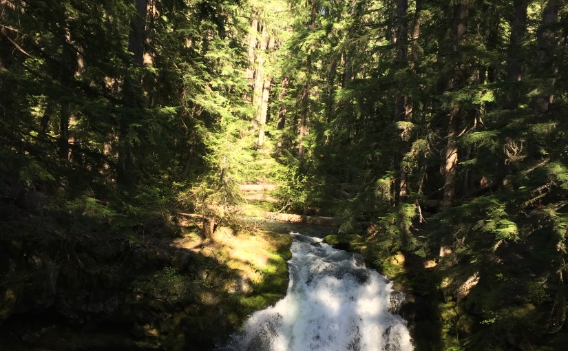Day 6 – Oregon Happy&nbsp;Trails